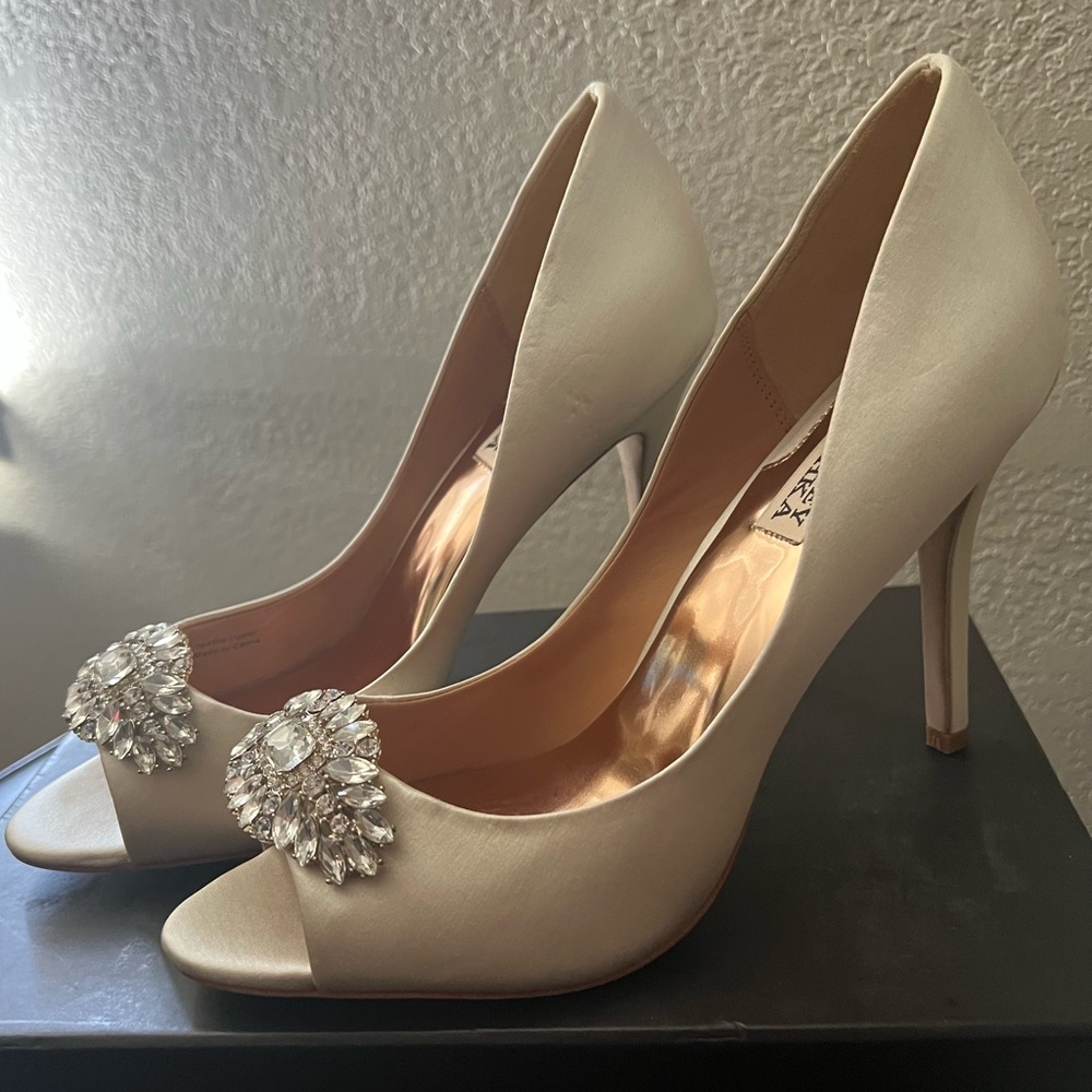 Badgley Mischka Lavender Pumps ivory  Sz 9